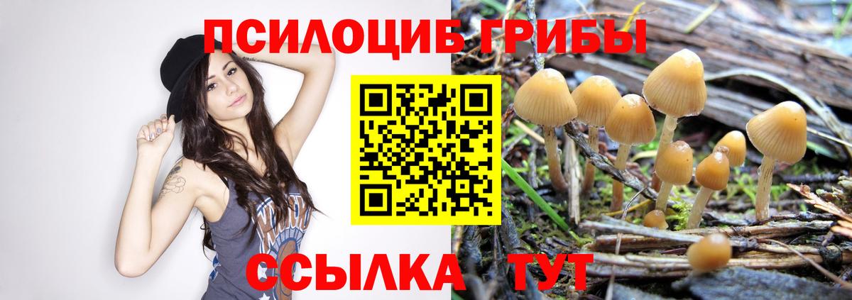 Псилоцибиновые грибы Psilocybine cubensis  Вход с VPN  где продают наркотики  Гуково 