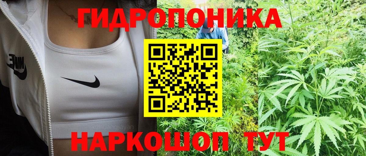 Каннабис гибрид  Бошки Шишки тримм  Бошки Шишки MAZAR  Вход с VPN  Гуково 